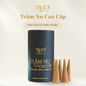 Nụ Trầm Hương Cao Cấp - Lựa Chọn Hoàn Hảo Cho Người Sành Trầm